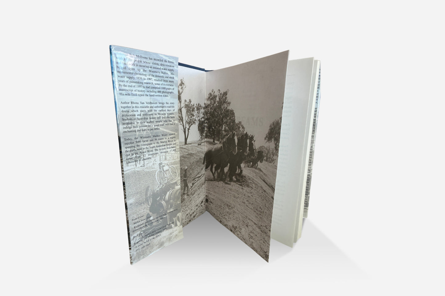 Pipe Dreams by Rhona Van Veldhuisen