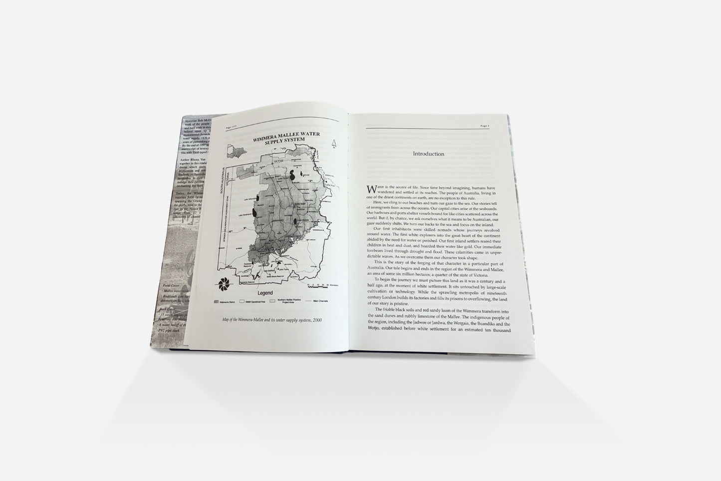 Pipe Dreams by Rhona Van Veldhuisen